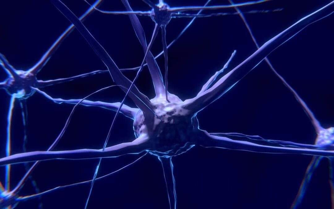 Cómo aplicar la neuroeducación en la enseñanza