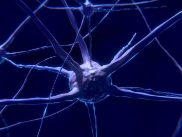 Cómo aplicar la neuroeducación en la enseñanza